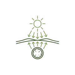 Bloquea el pigmento desde la raíz